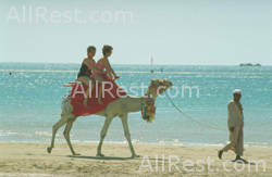 Creative Grand Sharm Resort 7